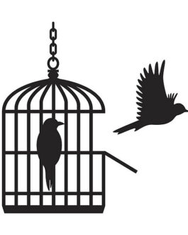 Wooden Birds In Open Birdcage Wall sticker