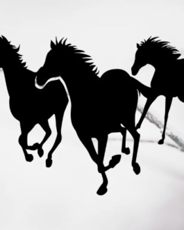3 Running Horse Wooden Wall Stickers